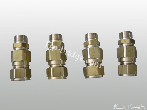 黃銅(tóng)铠裝電纜密封(fēng)接頭